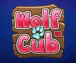 wolf cub