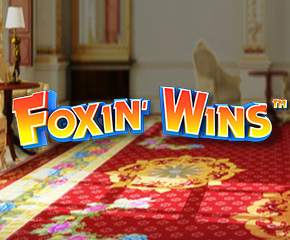 foxin wins