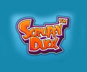 Scruffy Duck