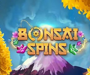Bonsai Spin's