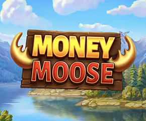 Money-Moose-290x240