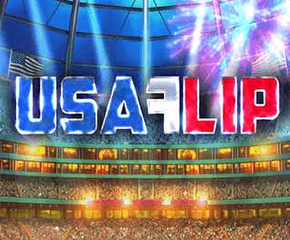 USA-Flip-290x240