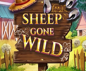 Sheep-Gone-Wild-290-x-240