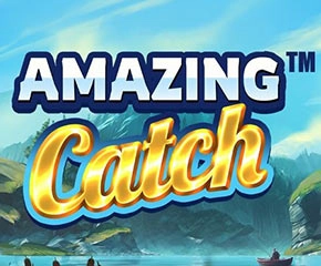 Amazing-Catch-290x240