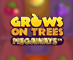 Grows-On-Trees-Megaways-290x240